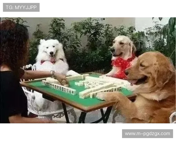 PG麻将来了高分攻略详解教你如何在游戏中巧妙运用技巧获得更高的分数